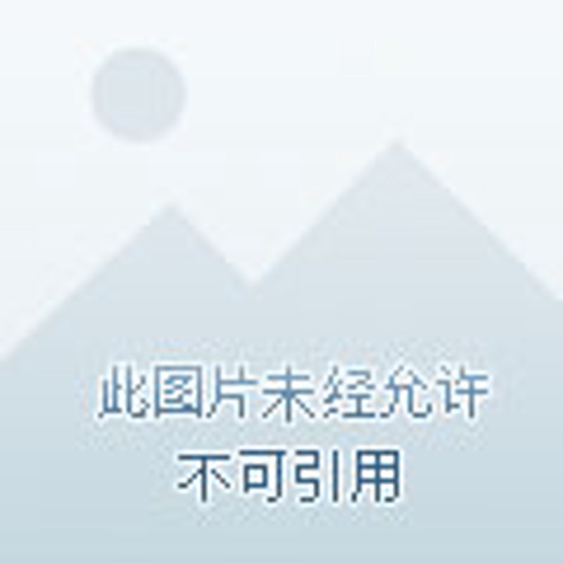 凉山地区的楼盘选择:新手与专业人士视角